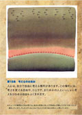passport_small04.jpg