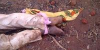 Girl found amongst dead bodies after village massacre